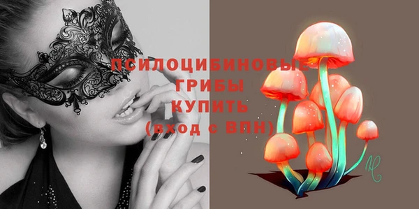 соль ск Нягань