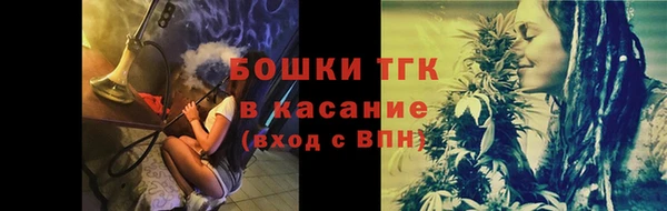 амф Няндома