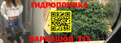 дурь Лесосибирск