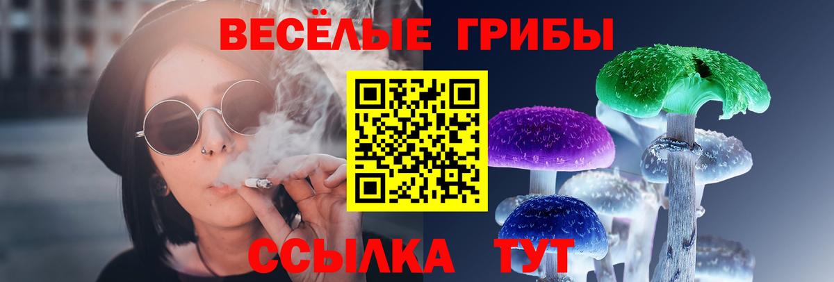 Псилоцибиновые грибы Psilocybe  Саки  Галлюциногенные грибы мухоморы 
